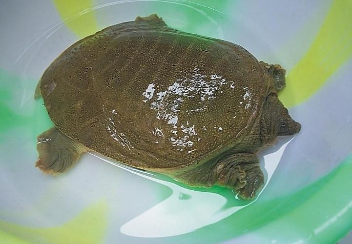 海盐县于城镇绿利生态农场