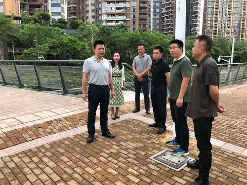 蛇口街道蓝涛书记,林立新主任带队全面开展隐患排查工作