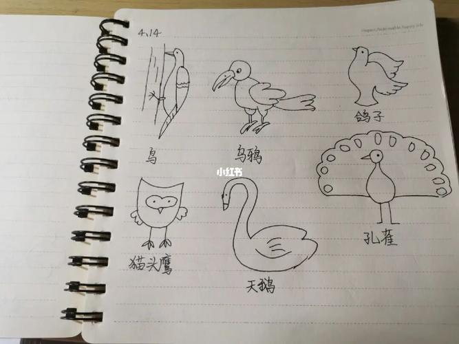 简笔画临摹动物篇