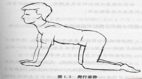 stnr反射的呈现,也就是儿童爬行姿势,上半身与下半身的协调性作用