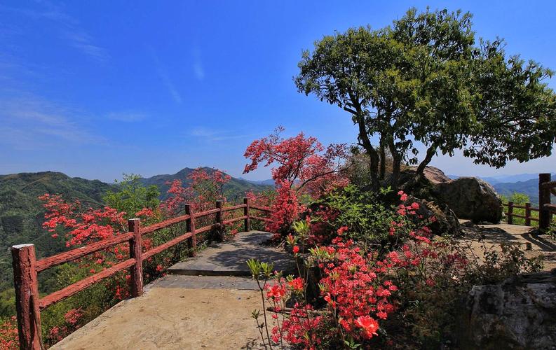 山花烂漫屋脊山