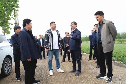 邓州市委书记金浩督导检查中央生态环境保护督察交办问题整改情况