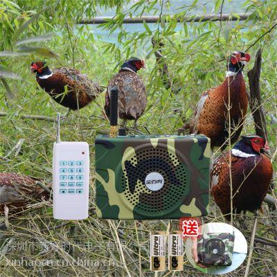 金百鸣b93电煤机 鸟媒机 无线遥控 超远遥控 竹鸡捕鸟电煤扩音器