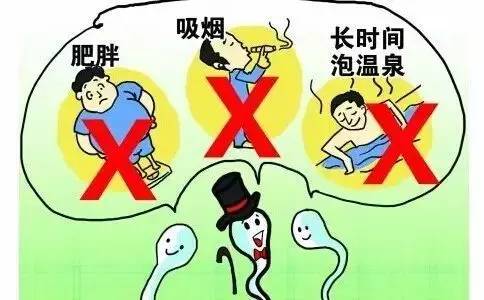 7,男性附属性腺感染 是潜在的,可以治愈的导致男性不育的一类疾病.