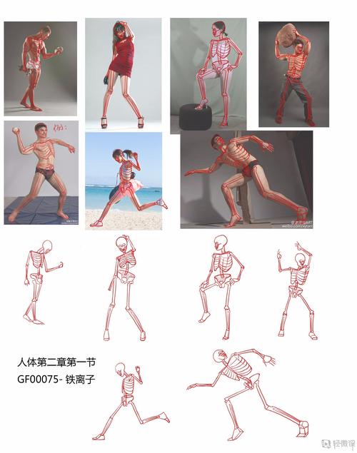 作业:如何学画手绘动漫人物之人体骨骼画法与训练技巧 - gf00075-铁