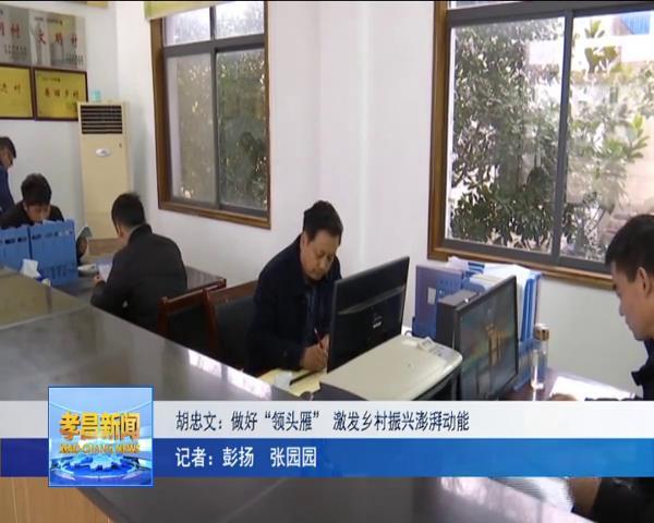 胡忠文:做好"领头雁" 激发乡村振兴澎湃动能