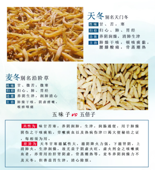 中医专长医师资格考核——天冬