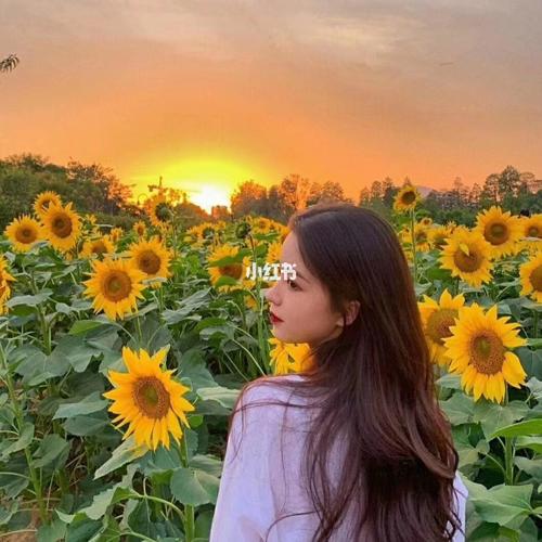 向日葵女生头像97_素材_头像
