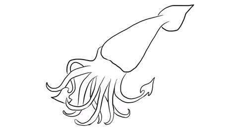 小动物简笔画素材大全简单实用快为孩子收藏吧怎么画乌贼简单又好看怎