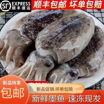 新鲜墨鱼冷冻大墨鱼墨斗鱼海捕海鲜水产欧登城娜10斤推荐1斤以上一只