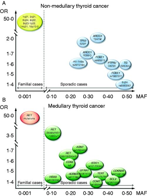 (a) genes associated with non-medullary thyroid cancer; (b)