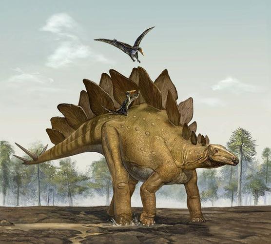 剑龙:侏罗纪晚期的大型食草恐龙
