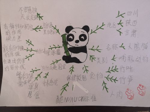 国宝大熊猫资料卡