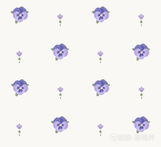 无缝花纹美丽的紫罗兰色花,白色背景,粉红色花装饰