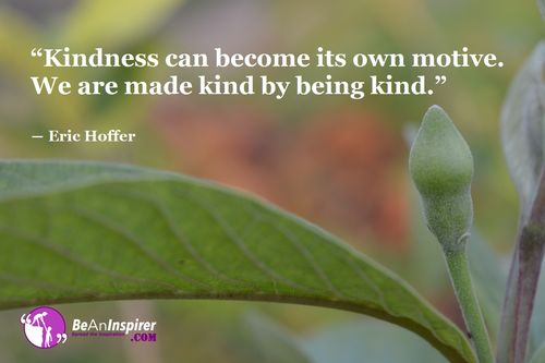 quote articles articles on kindness be kind by being a dispenser