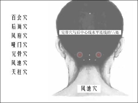 "政府",那么, 我们叫"风府"就说明它是风所聚集的地方,进而也就是生气