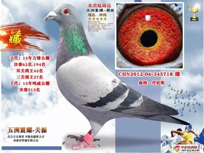 丹尼斯全平辈