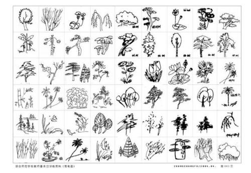 [超可爱]卡通植物图片之100种植物简笔画小图推荐