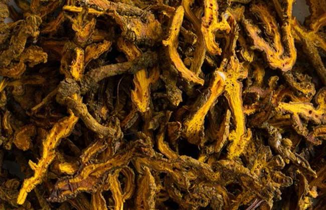 黄连的功效与作用及禁忌(2)