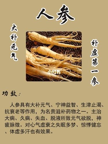 人参,西洋参,丹参,党参功效区别分享_人参_西洋参_养生_夏天去哪玩