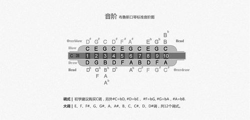 suzuki铃木日本原装10孔布鲁斯口琴mr300手指压音超吹c调