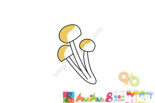 白玉菇简笔画画法