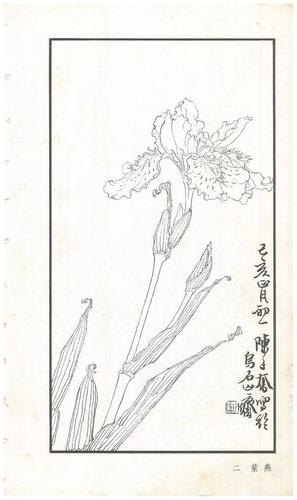 《陈子奋白描花卉册》图赏(多图)
