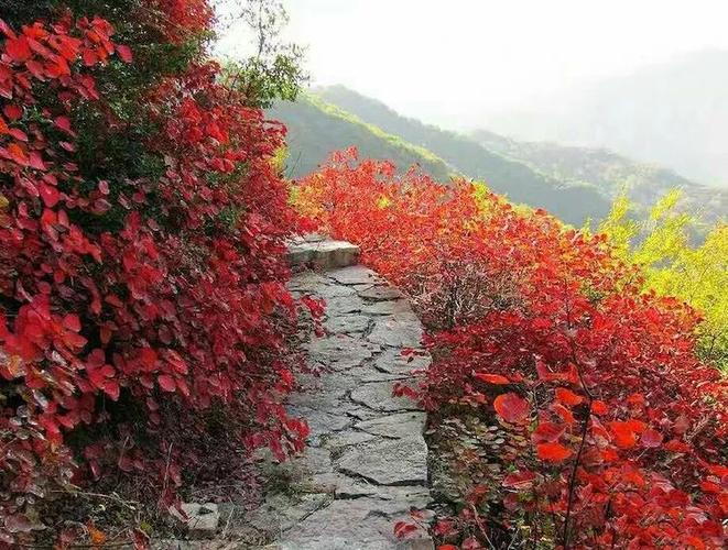 其它 巩义盘龙山看红叶 写美篇 巩义市盘龙山生态旅游风景名胜区介绍