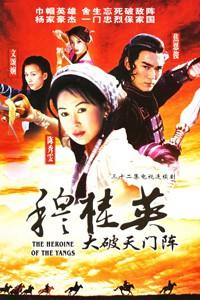 电视剧:《穆桂英大破天门阵》(1998)