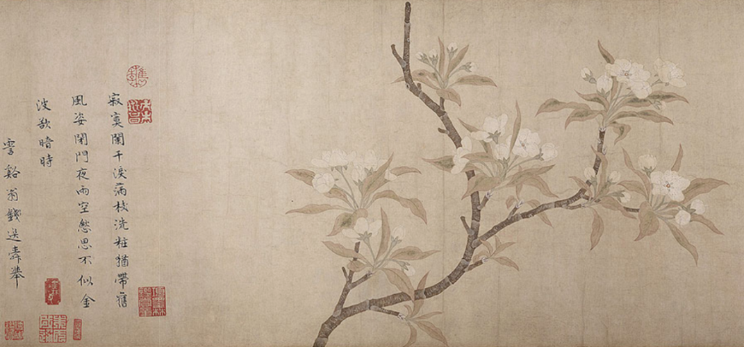 春日知识:跟着古画赏花,识花,辨花