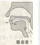 汉语拼音具体发音位置