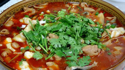 分享六道美味家常菜:家常炒鸭胗上榜,肥肠鱼麻辣鲜香越吃越上瘾