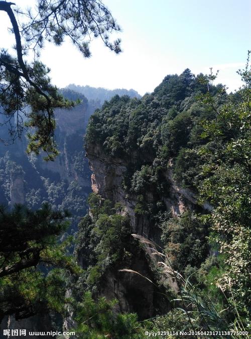 张家界武陵源森林公园摄影图__风景名胜_自然景观__昵
