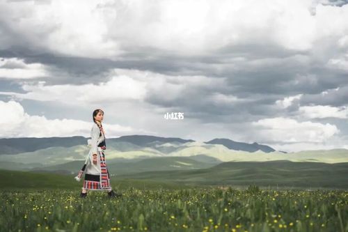 草原写真,最后一张你们绝对想不到,_写真_草原_甘南藏