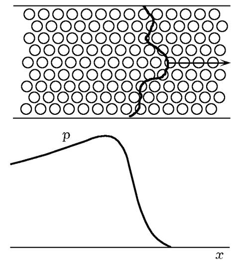 simulation of convective detonation waves in a porous medium by