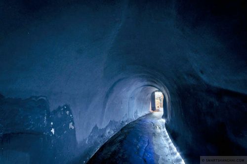 the shelter