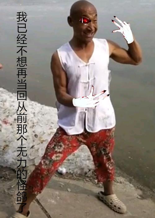 关于冬泳怪鸽的表情包