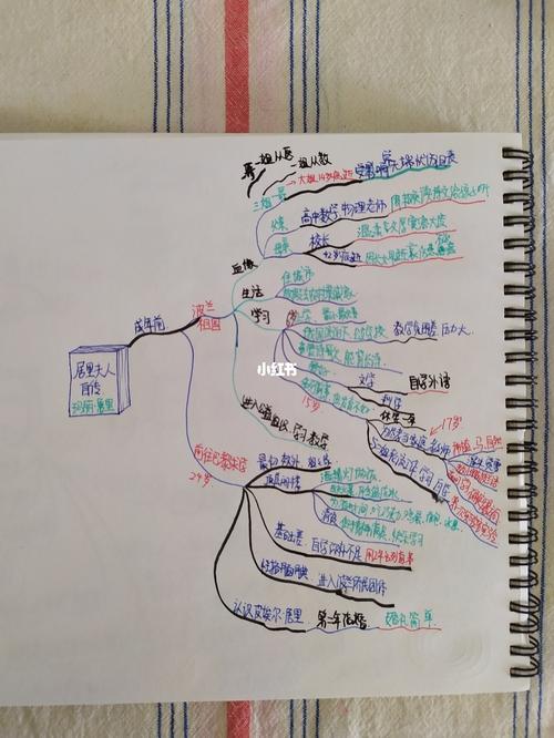 《居里夫人自传》第一章思维导图笔记_思维导图_爱因斯坦怎么样