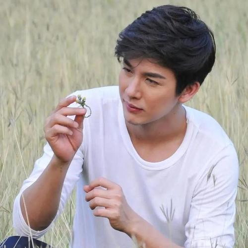 泰星push(推哥)大方承认整容 来华拍戏 互三夫妻恩爱至今