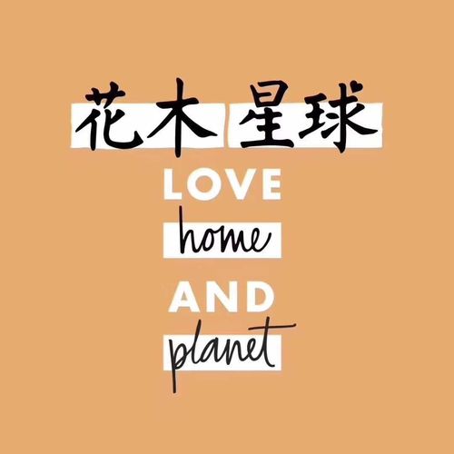 沧州信誉楼综合超市好商品推荐(149)——联合利华:花木星球系列