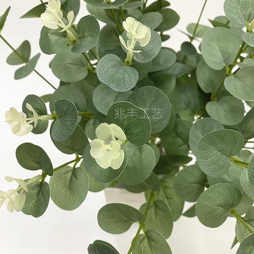 仿真植物尤加利叶子植物墙金钱叶绿景装饰16叉尤加利厂家批发