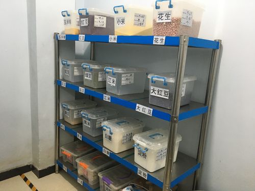 新城区东方之星幼儿园——厨房6s管理工作开展纪实