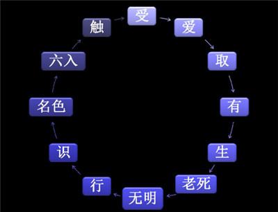 什么是十二因缘?