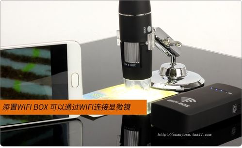 超级新品 50-500倍1000倍usb高清电子显微镜数码电子放大镜手机电脑