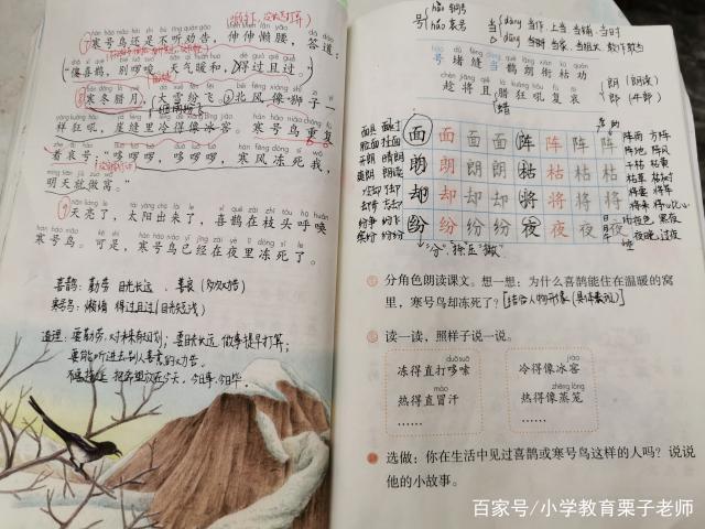 学完《寒号鸟》,二年级小学生家长:寒号鸟不是鸟!语文真难学!