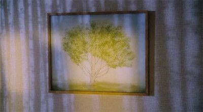 树- 堆糖,美图壁纸兴趣社区