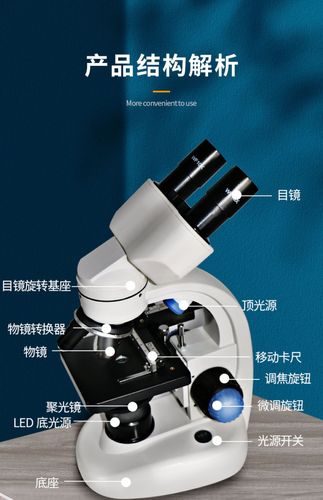 申宏双目显微镜儿童科学光学专业生物10000高倍电子高清家用看螨虫