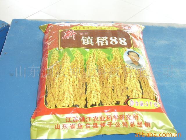 镇稻88