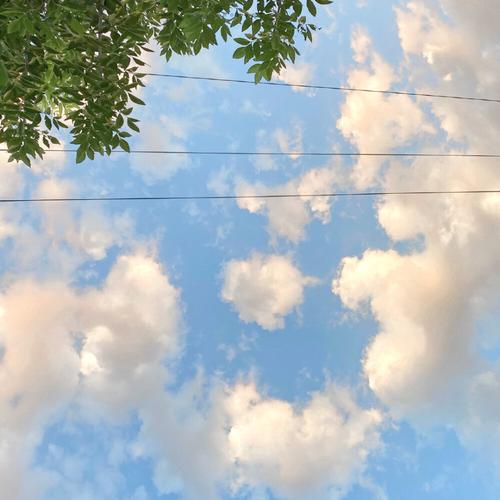 有什么好看的朋友圈背景图和壁纸推荐吗?