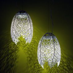 hyphae pendant lamps by nervous system.